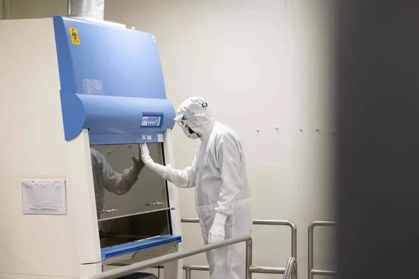 What is disinfection?